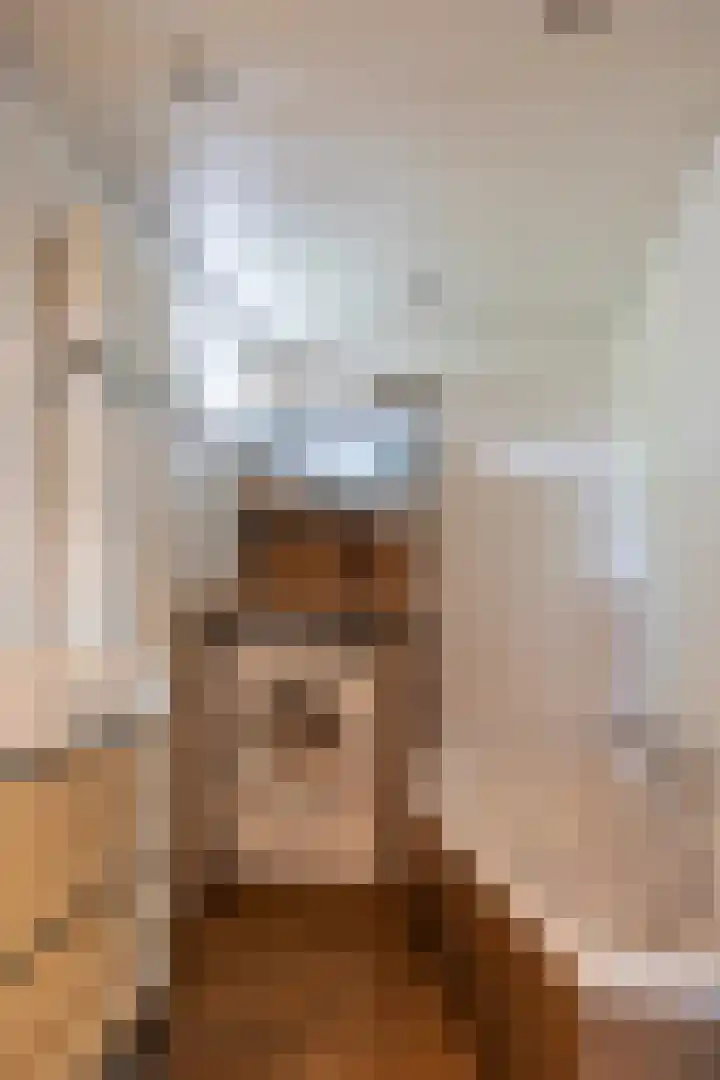 Dorpsweg 102 Hoogblokland thumbnail 26