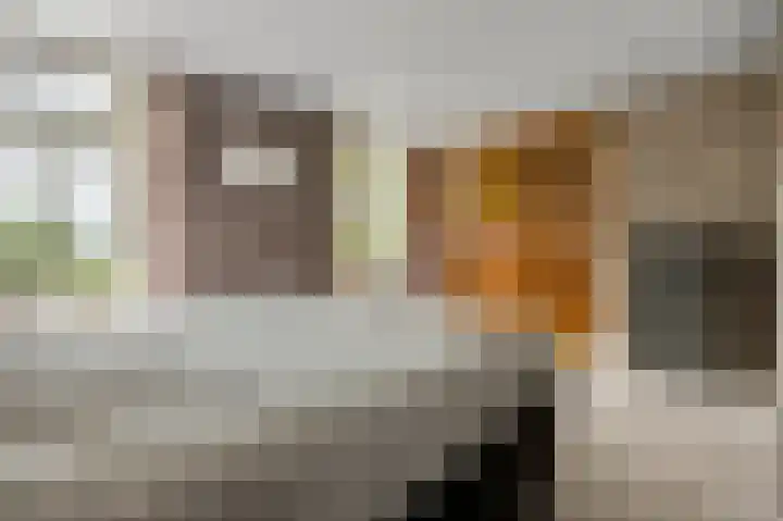 Dorpsweg 102 Hoogblokland thumbnail 29