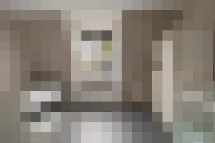 Dorpsweg 102 Hoogblokland thumbnail 30