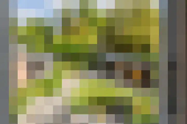 Dorpsweg 102 Hoogblokland thumbnail 37