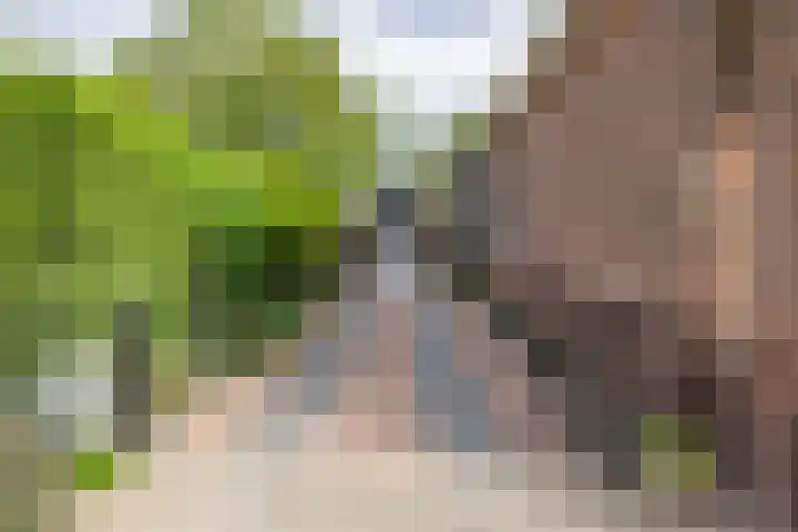 Dorpsweg 102 Hoogblokland thumbnail 39