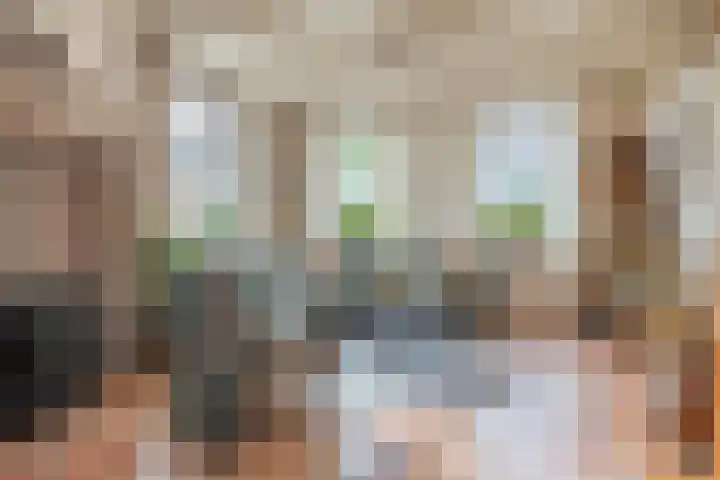 Dorpsweg 102 Hoogblokland thumbnail 4
