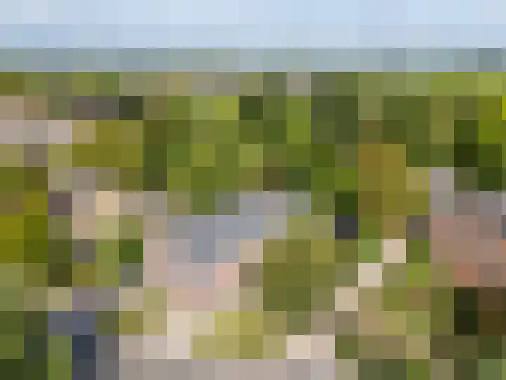 Dorpsweg 102 Hoogblokland thumbnail 42