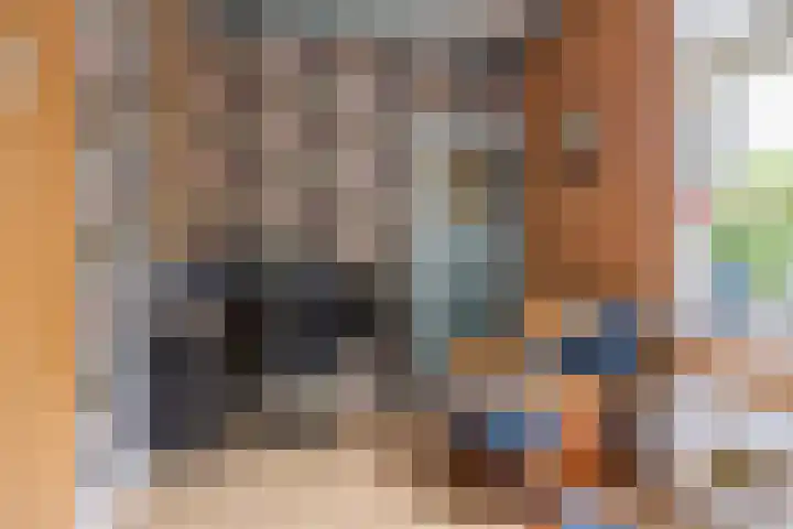 Dorpsweg 102 Hoogblokland thumbnail 6