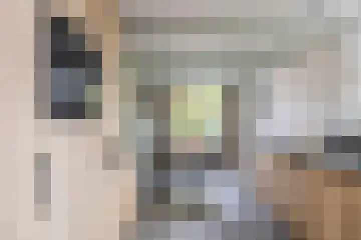 Dorpsweg 102 Hoogblokland thumbnail 7