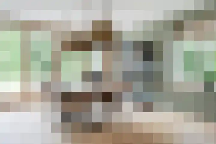 Dorpsweg 107 Schellinkhout thumbnail 12