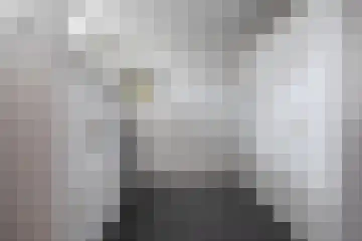 Dorpsweg 107 Schellinkhout thumbnail 22