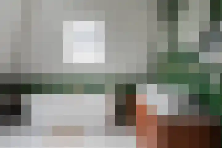 Dorpsweg 107 Schellinkhout thumbnail 26