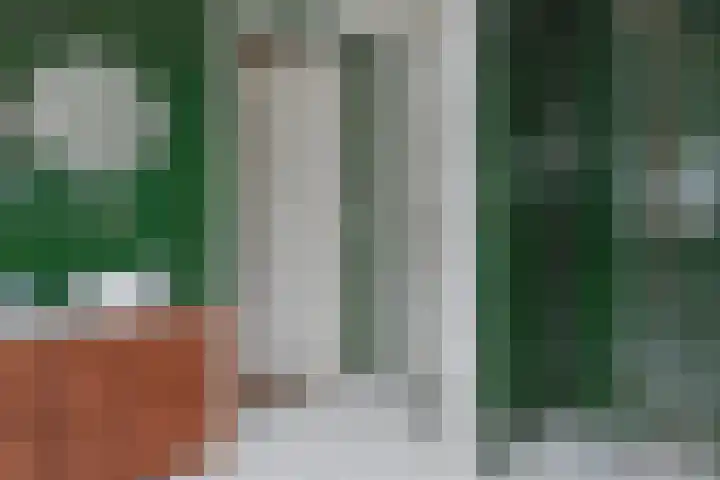 Dorpsweg 107 Schellinkhout thumbnail 28