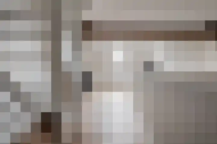 Dorpsweg 107 Schellinkhout thumbnail 36