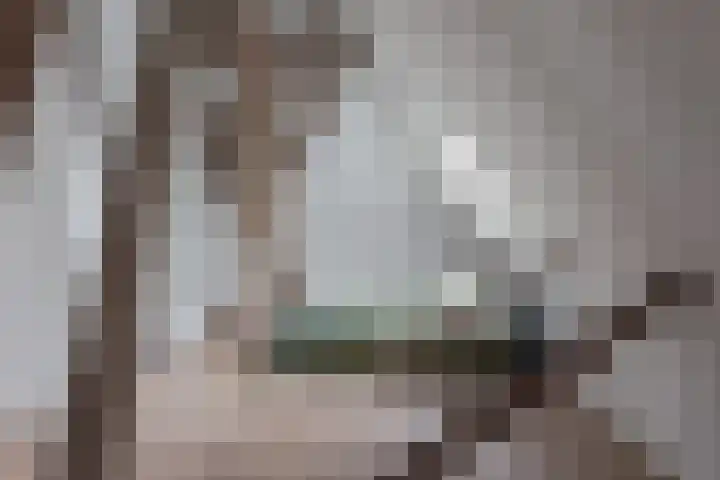 Dorpsweg 107 Schellinkhout thumbnail 38