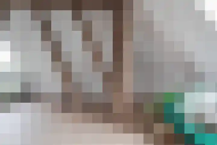 Dorpsweg 107 Schellinkhout thumbnail 40