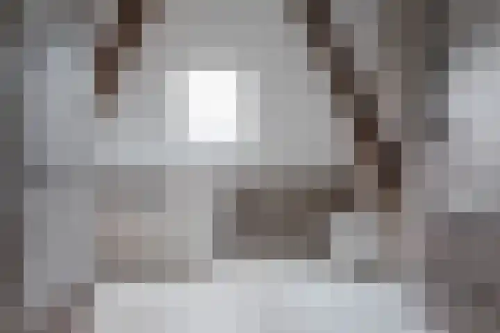 Dorpsweg 107 Schellinkhout thumbnail 41