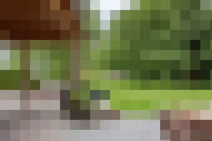 Dorpsweg 107 Schellinkhout thumbnail 44