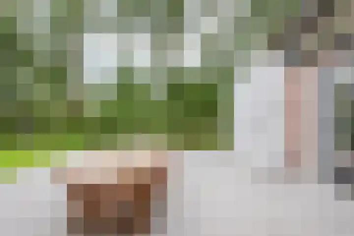 Dorpsweg 107 Schellinkhout thumbnail 46