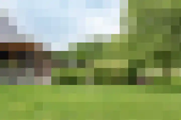 Dorpsweg 107 Schellinkhout thumbnail 47