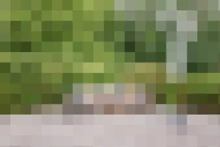 Dorpsweg 107 Schellinkhout thumbnail 48