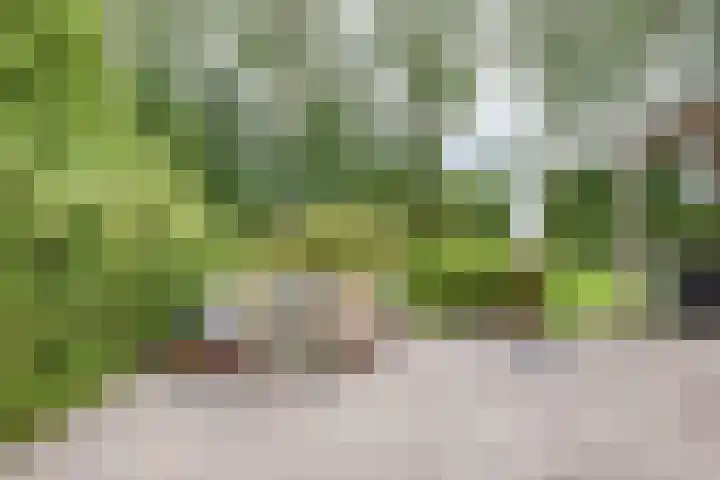 Dorpsweg 107 Schellinkhout thumbnail 49