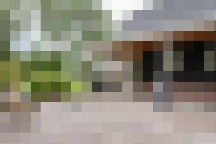Dorpsweg 107 Schellinkhout thumbnail 51