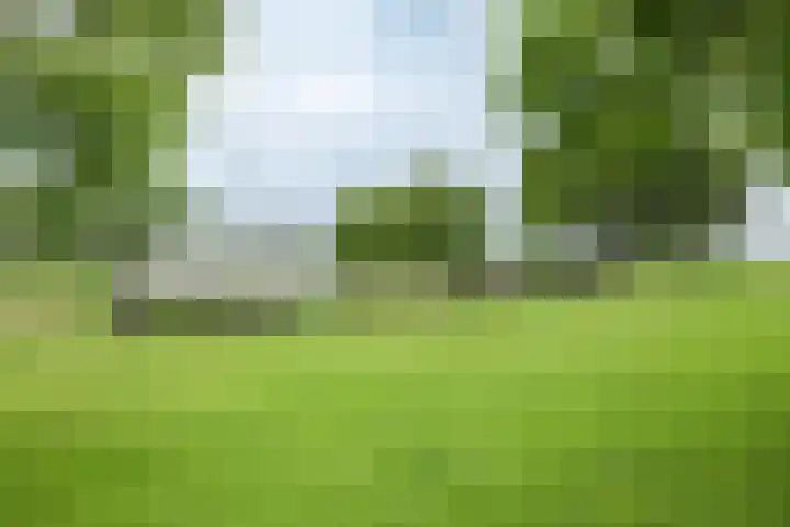 Dorpsweg 107 Schellinkhout thumbnail 53