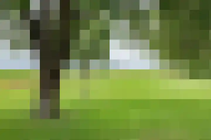 Dorpsweg 107 Schellinkhout thumbnail 55