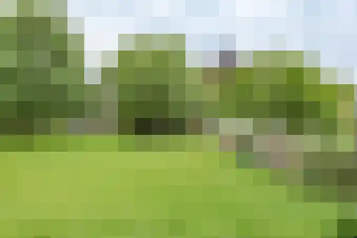 Dorpsweg 107 Schellinkhout thumbnail 56