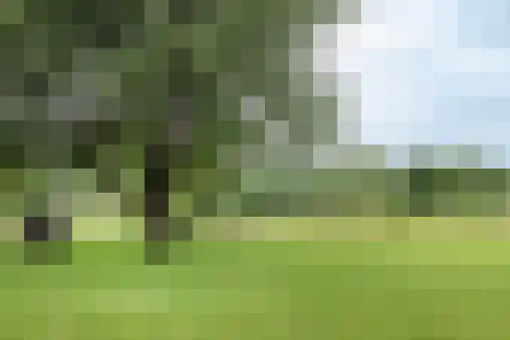 Dorpsweg 107 Schellinkhout thumbnail 57