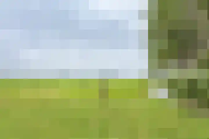 Dorpsweg 107 Schellinkhout thumbnail 58