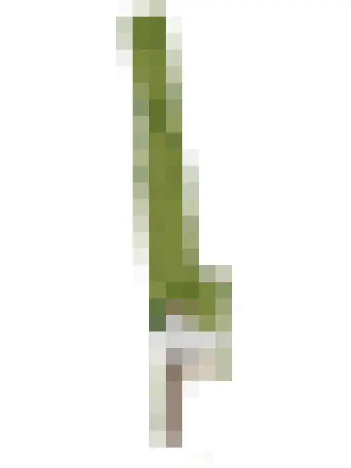 Dorpsweg 107 Schellinkhout thumbnail 63