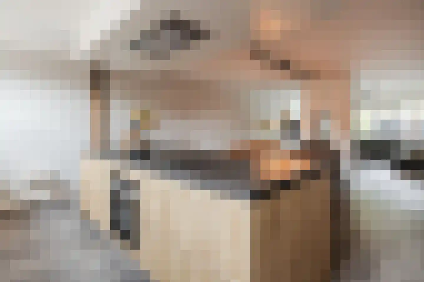Dorpsweg 108 B Hoornaar thumbnail 11