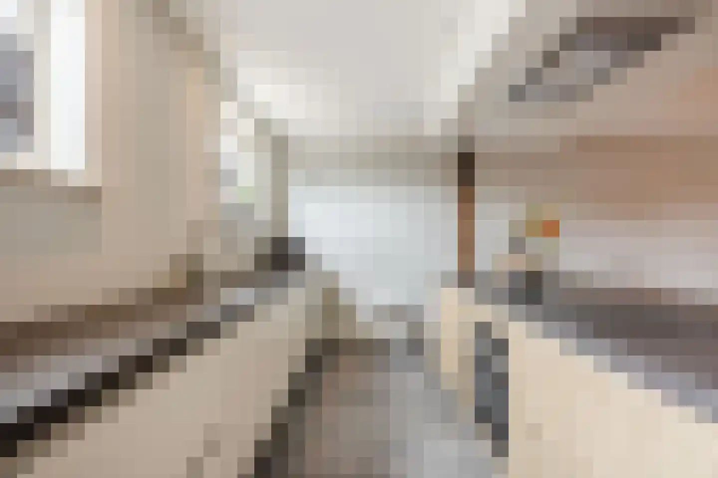 Dorpsweg 108 B Hoornaar thumbnail 12