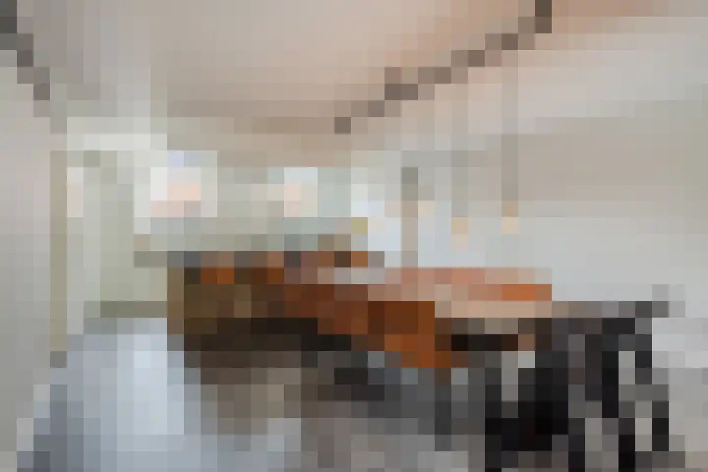 Dorpsweg 108 B Hoornaar thumbnail 14