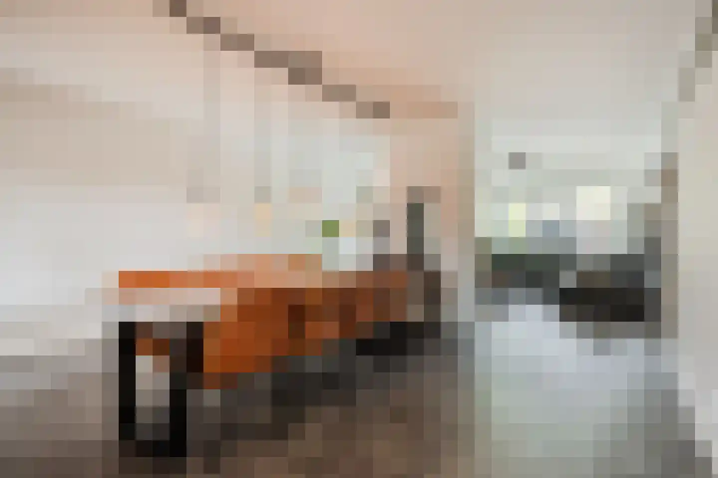 Dorpsweg 108 B Hoornaar thumbnail 16