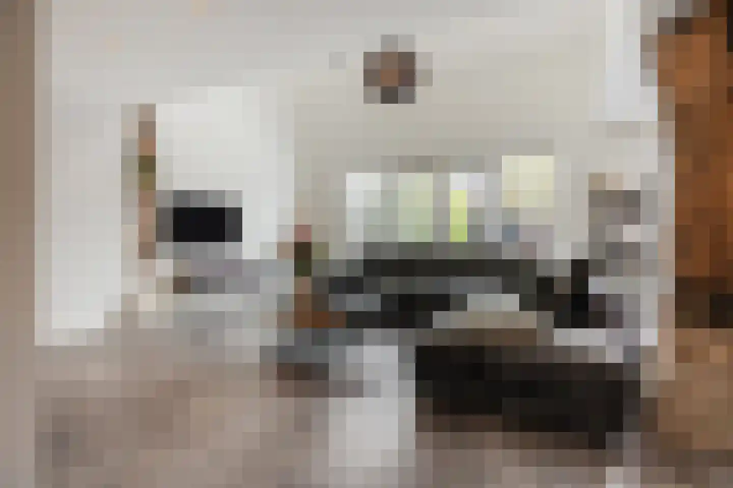 Dorpsweg 108 B Hoornaar thumbnail 22