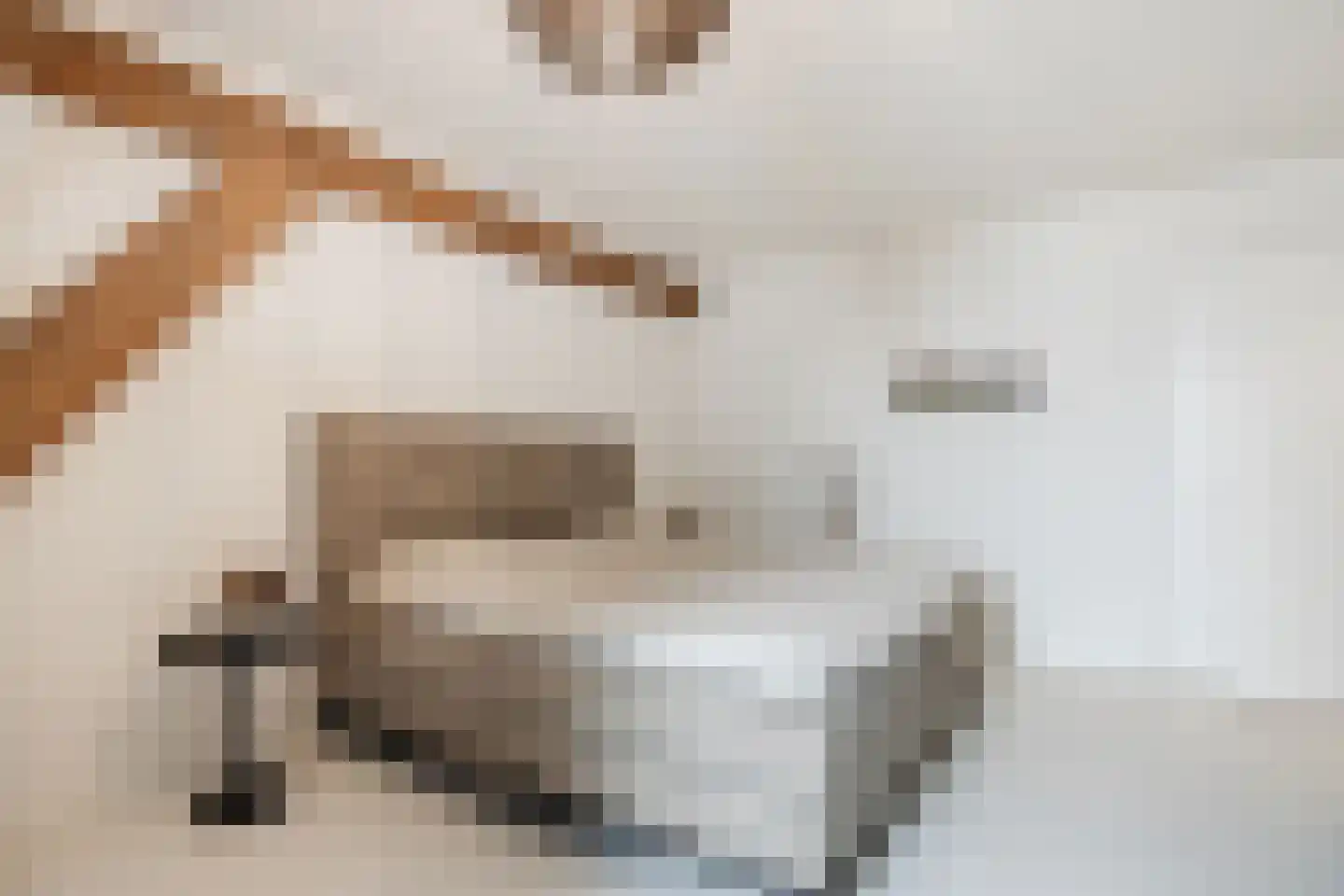 Dorpsweg 108 B Hoornaar thumbnail 27
