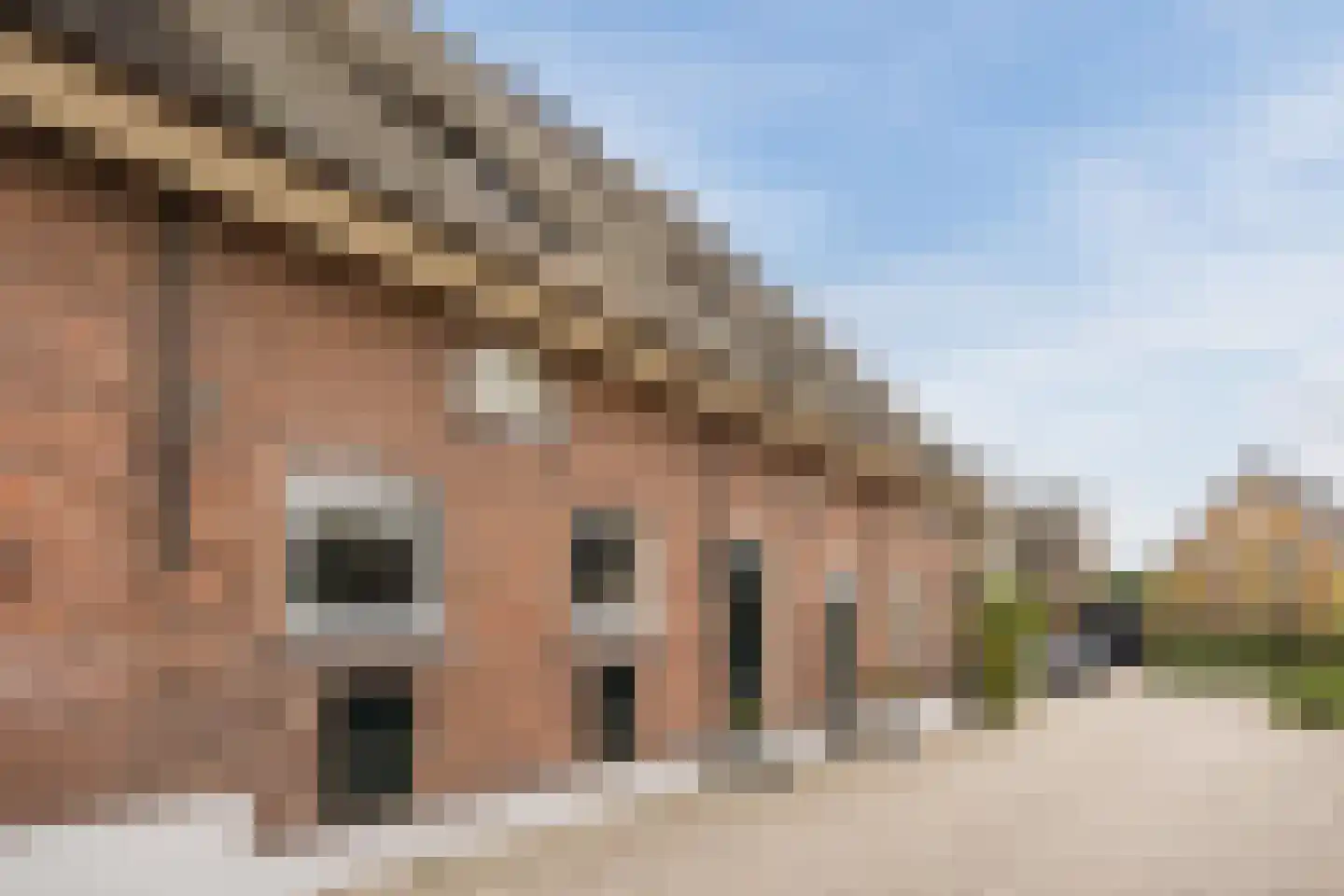Dorpsweg 108 B Hoornaar foto 3