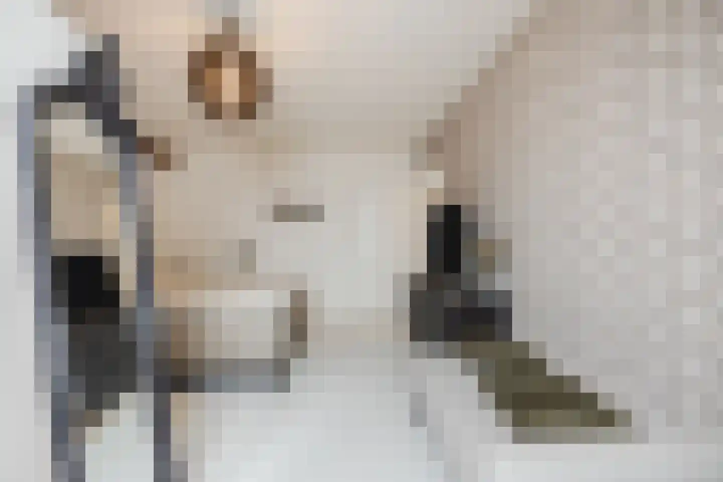 Dorpsweg 108 B Hoornaar thumbnail 30