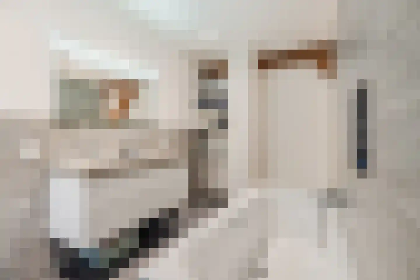 Dorpsweg 108 B Hoornaar thumbnail 34