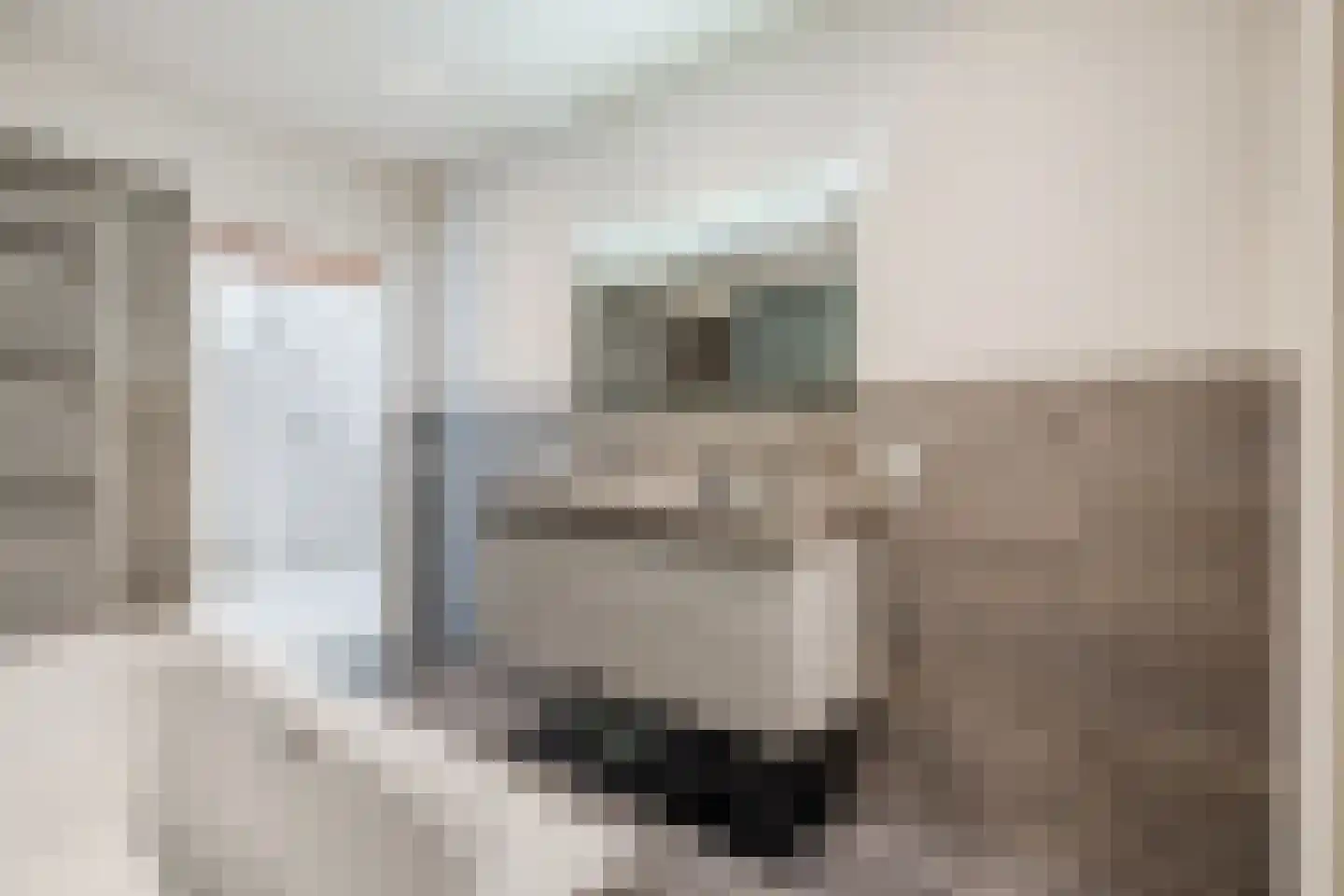 Dorpsweg 108 B Hoornaar thumbnail 35