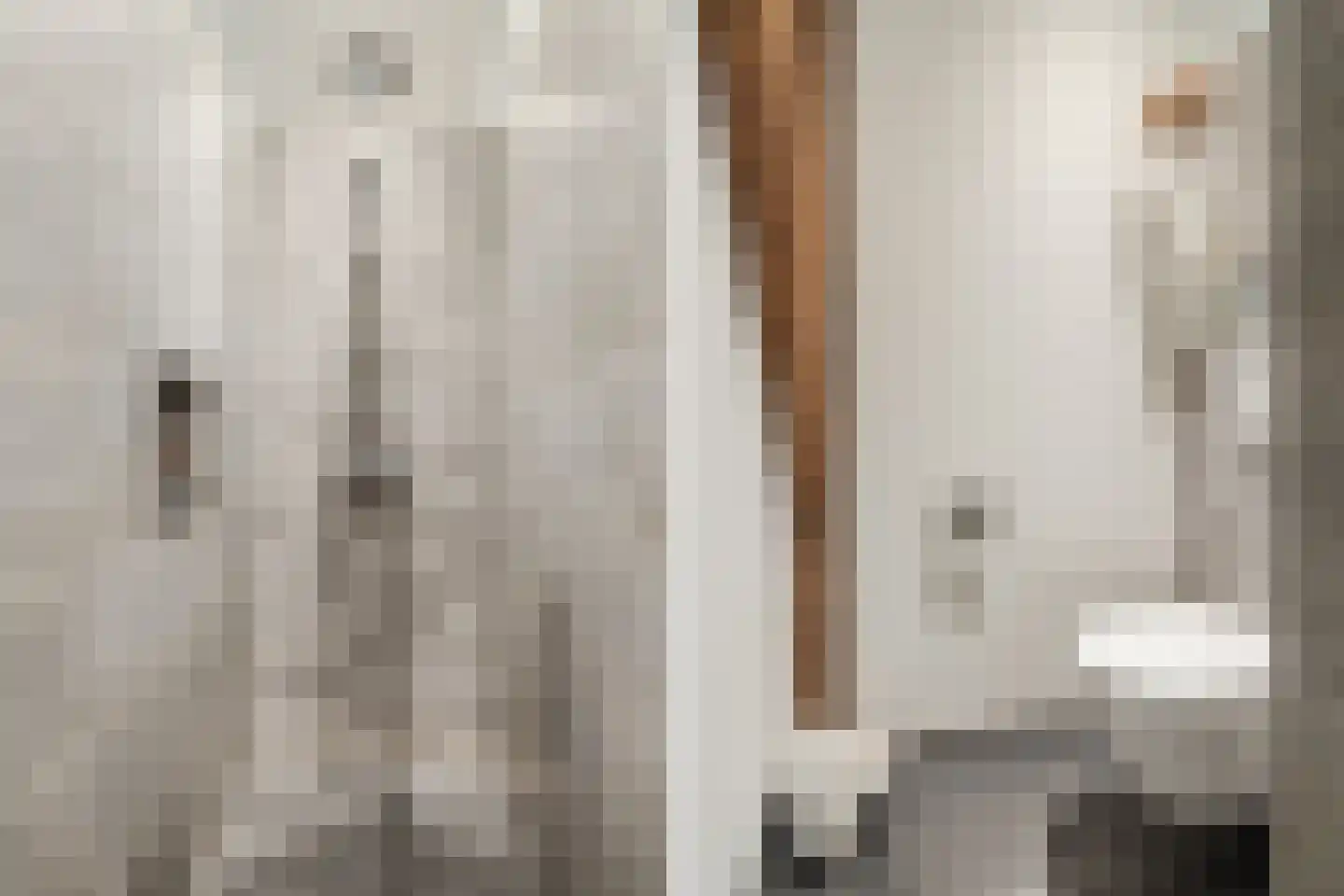 Dorpsweg 108 B Hoornaar thumbnail 38