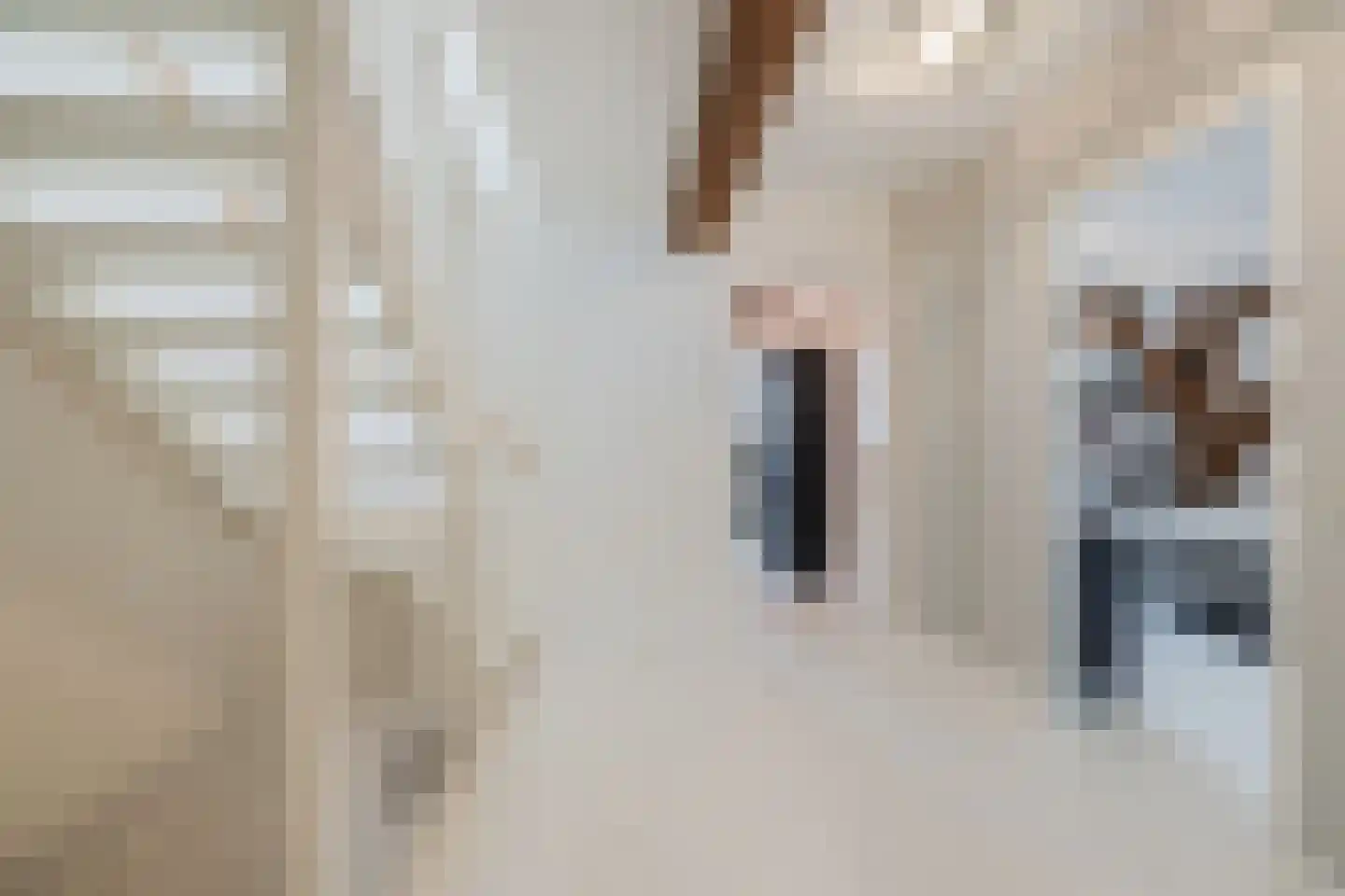 Dorpsweg 108 B Hoornaar thumbnail 39