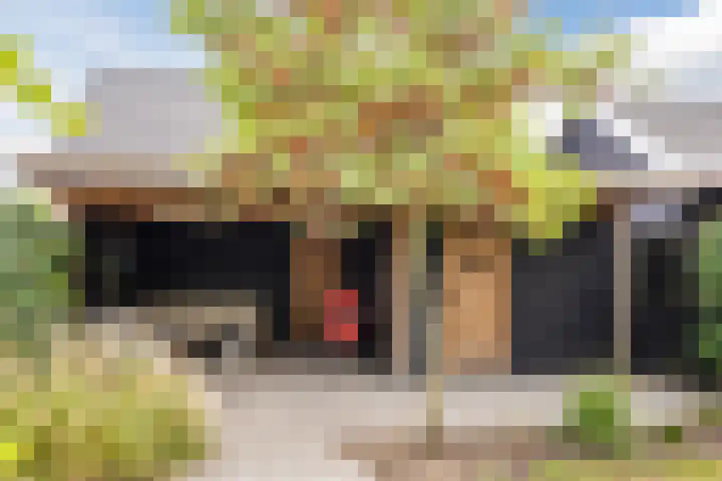 Dorpsweg 108 B Hoornaar thumbnail 47