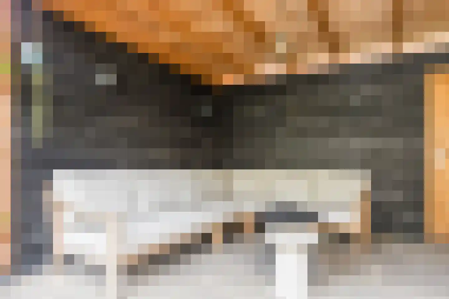 Dorpsweg 108 B Hoornaar thumbnail 49