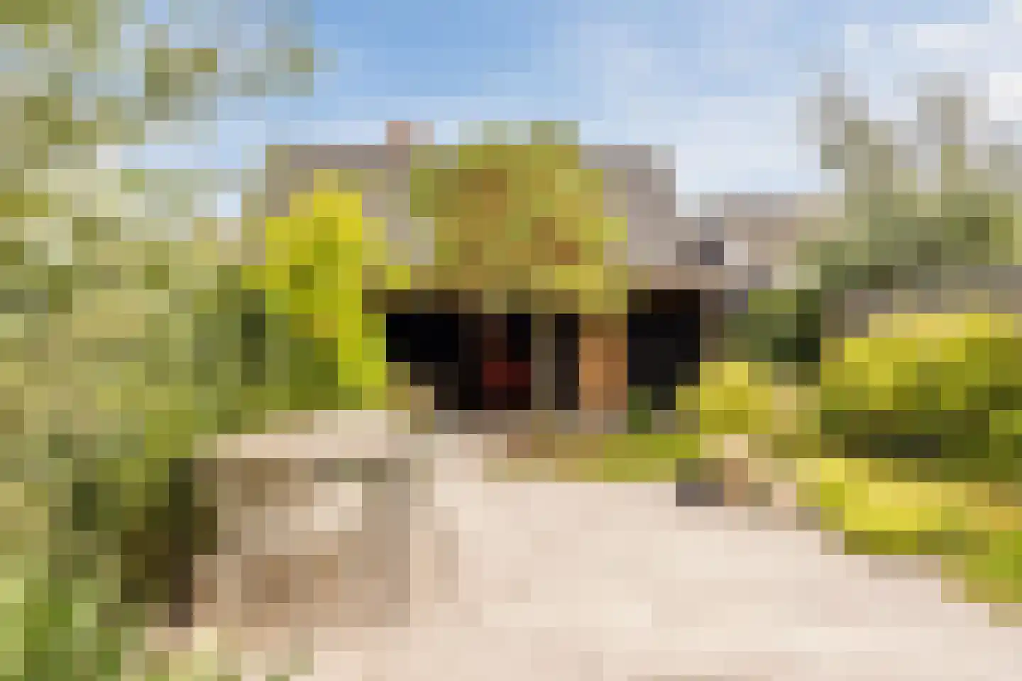 Dorpsweg 108 B Hoornaar thumbnail 5
