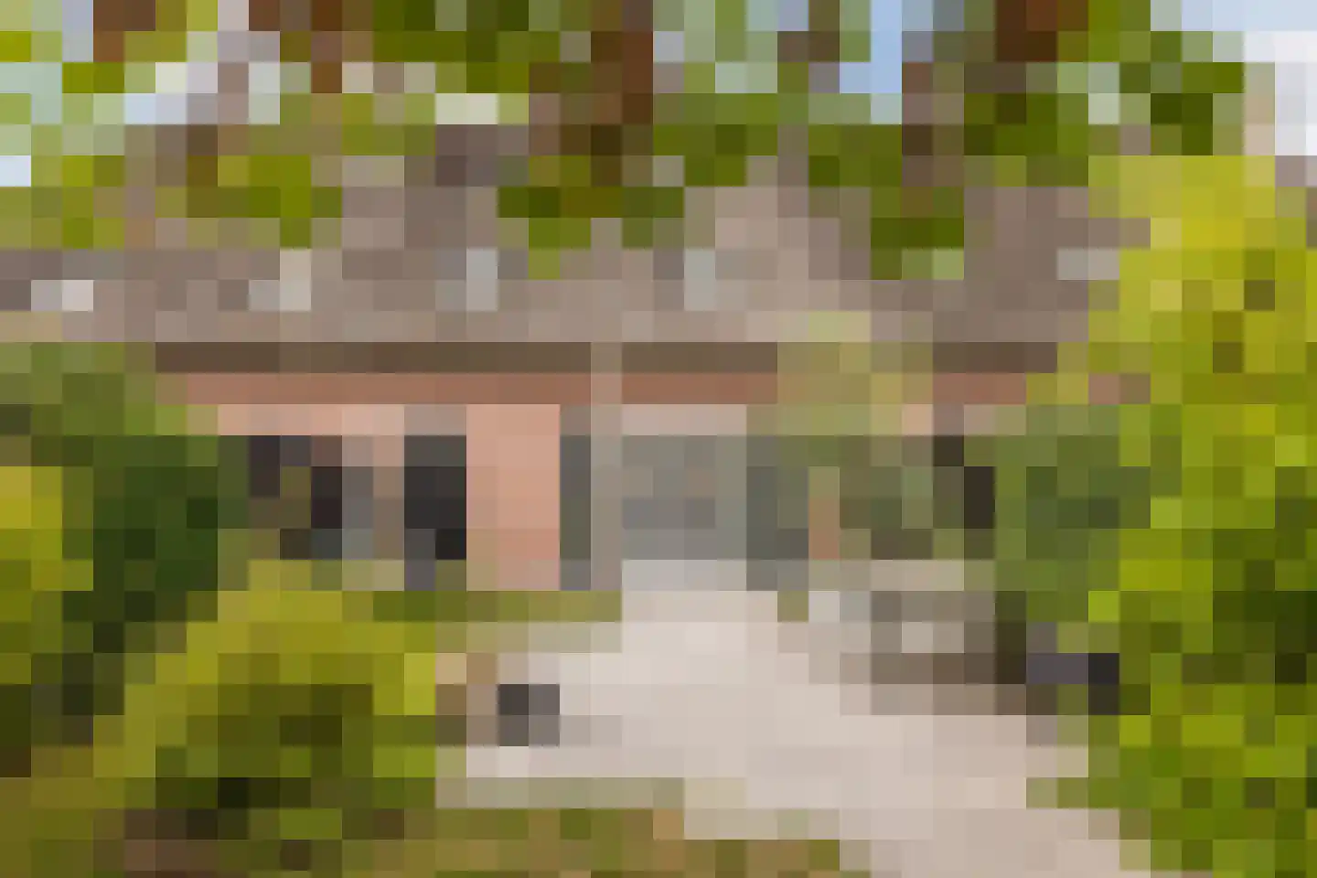 Dorpsweg 108 B Hoornaar thumbnail 50