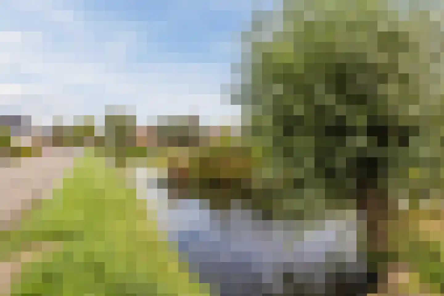 Dorpsweg 108 B Hoornaar thumbnail 53