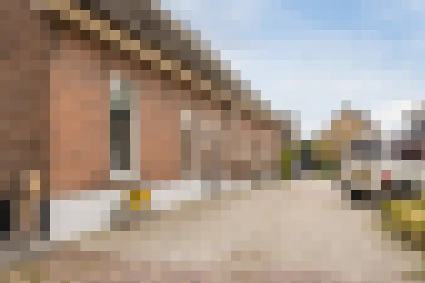 Dorpsweg 108 B Hoornaar thumbnail 60