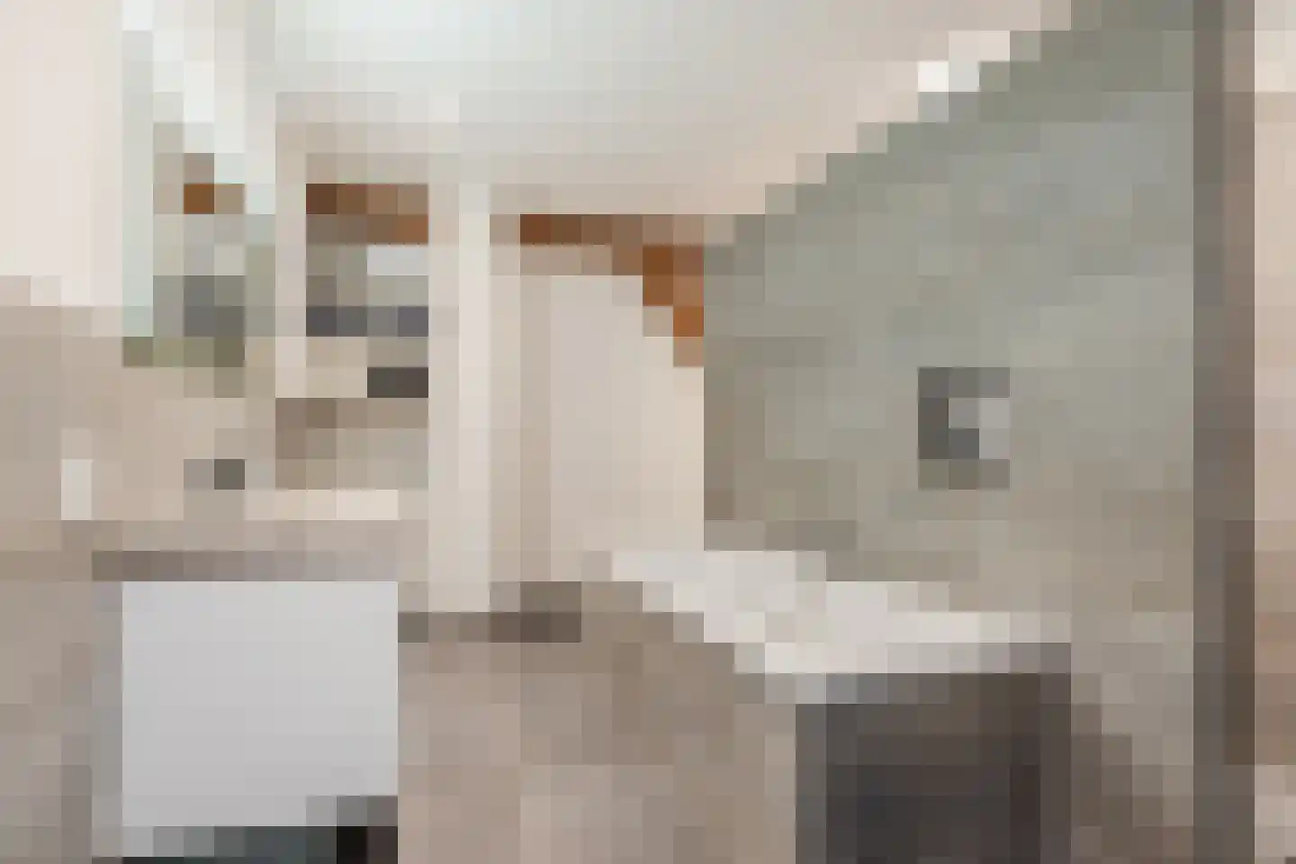 Dorpsweg 108 B Hoornaar thumbnail 7