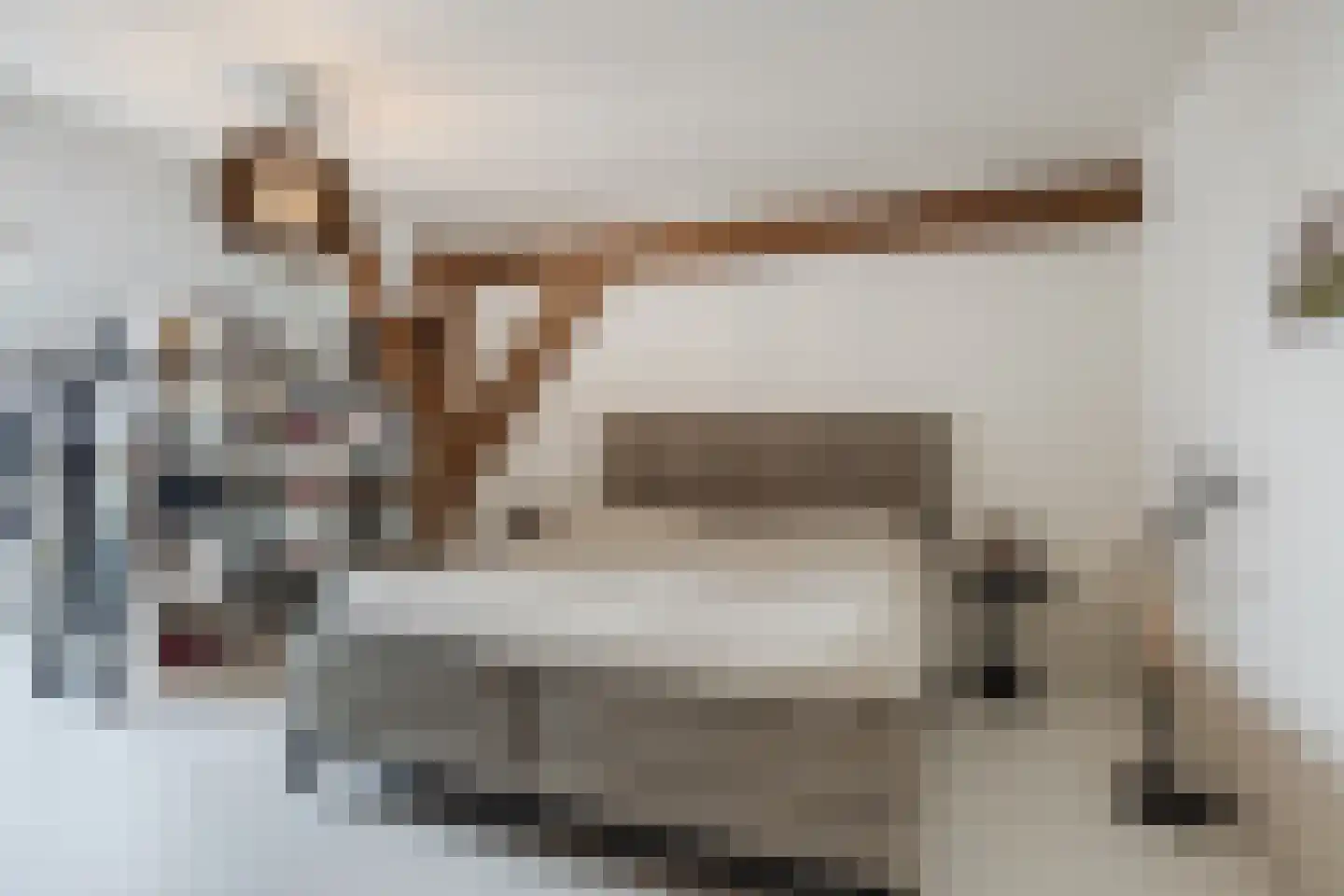 Dorpsweg 108 B Hoornaar thumbnail 8