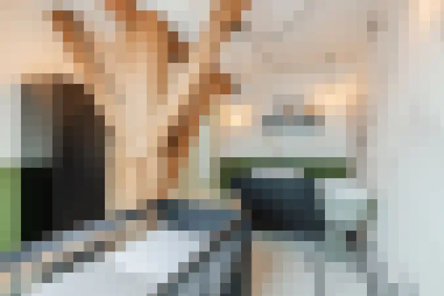 Dorpsweg 108 B Hoornaar thumbnail 9